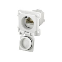 魏德米勒 接插件 RockStar?ModuPlug  工業以太網  訂貨號  8808450000  / IE-XM-RJ45/RJ45-IP67